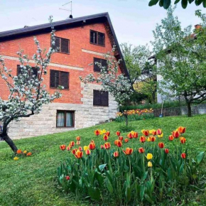 Hotels in Nemenikuće